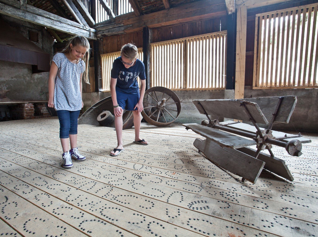 Trzic Museum-特尔日奇必去景点