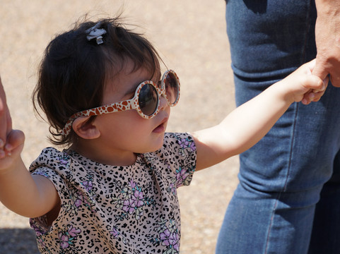 Tastes Of The Hunter Wine Tours-悉尼必去景点