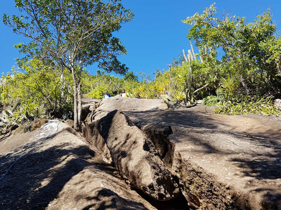 Pedra do Elefante Trail景点图片