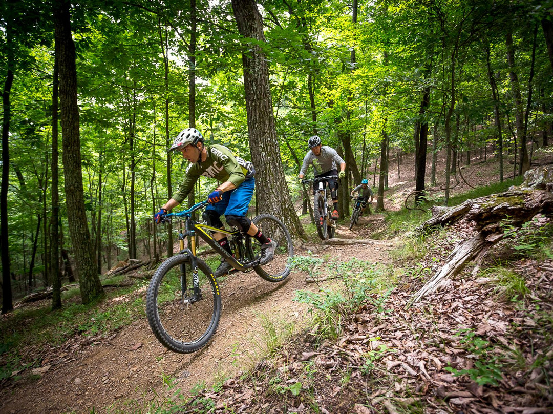 Roanoke Mountain Adventures-罗阿诺克必去景点