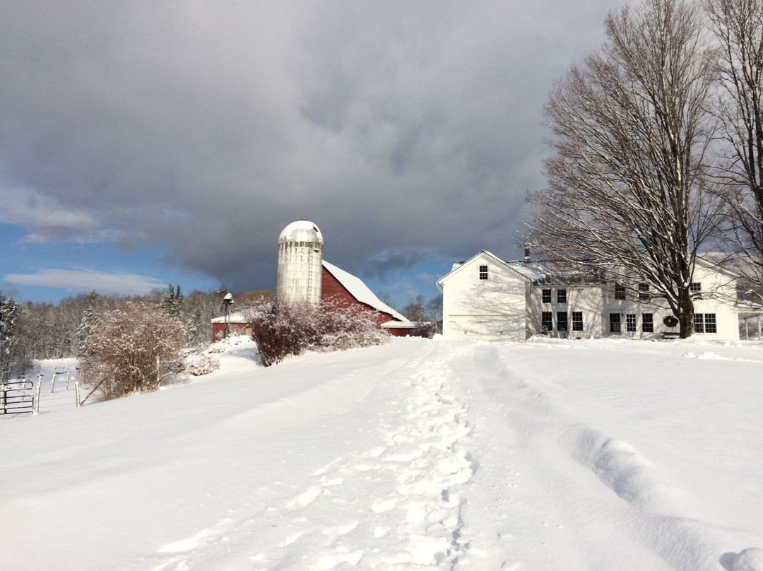 Baird Farm Vermont Maple Syrup景点图片