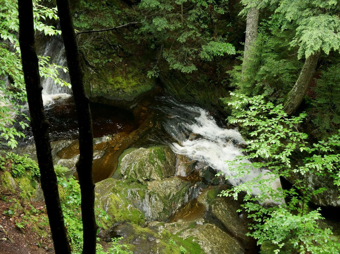 Sterling Falls Gorge