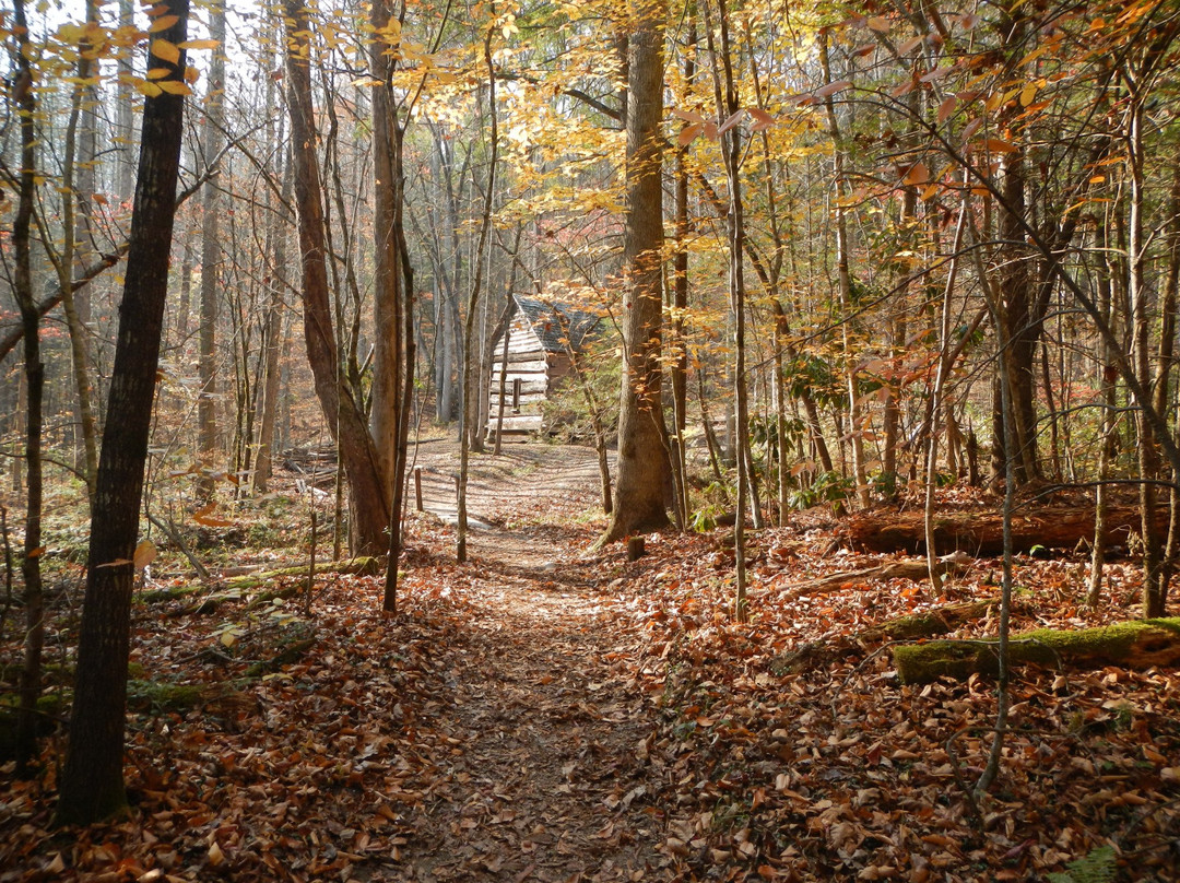 Fighting Creek Trail-大雾山国家公园必去景点