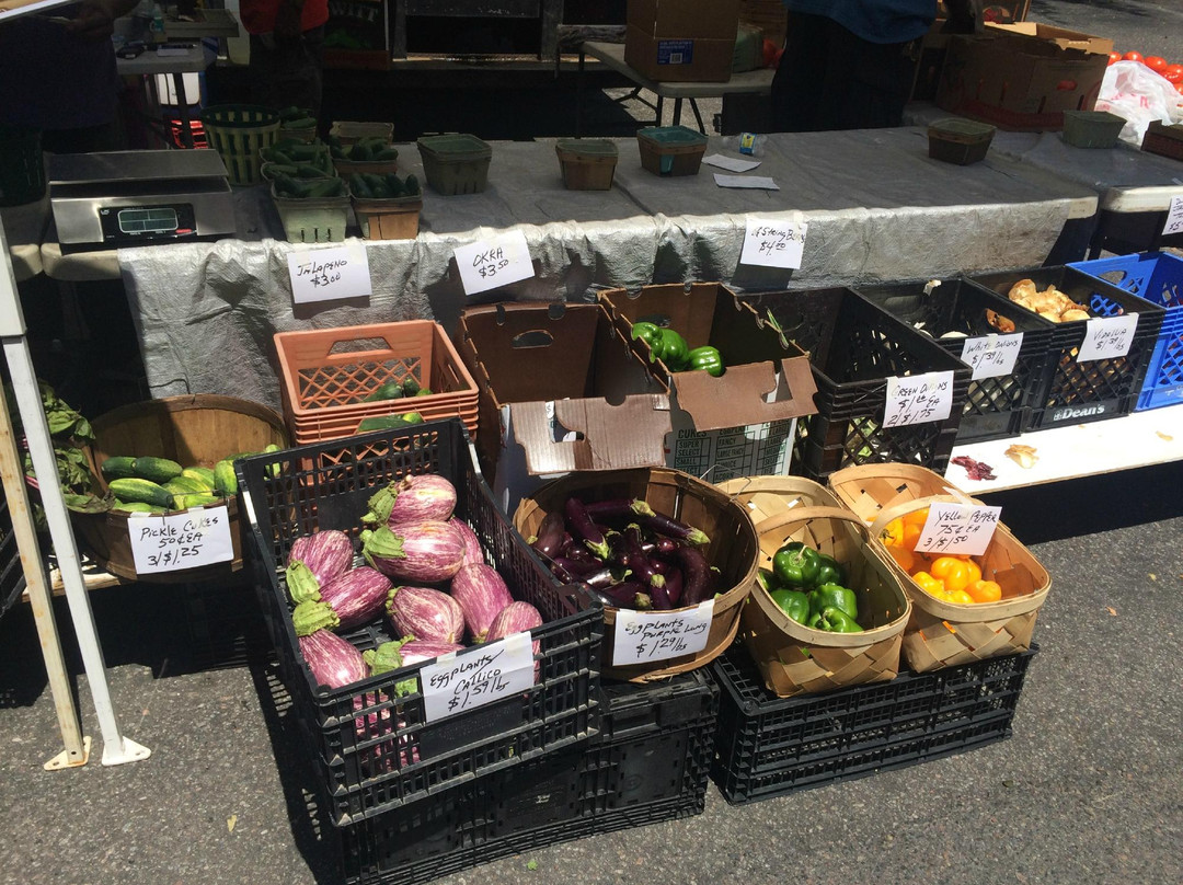 Summerville Farmer's Market景点图片