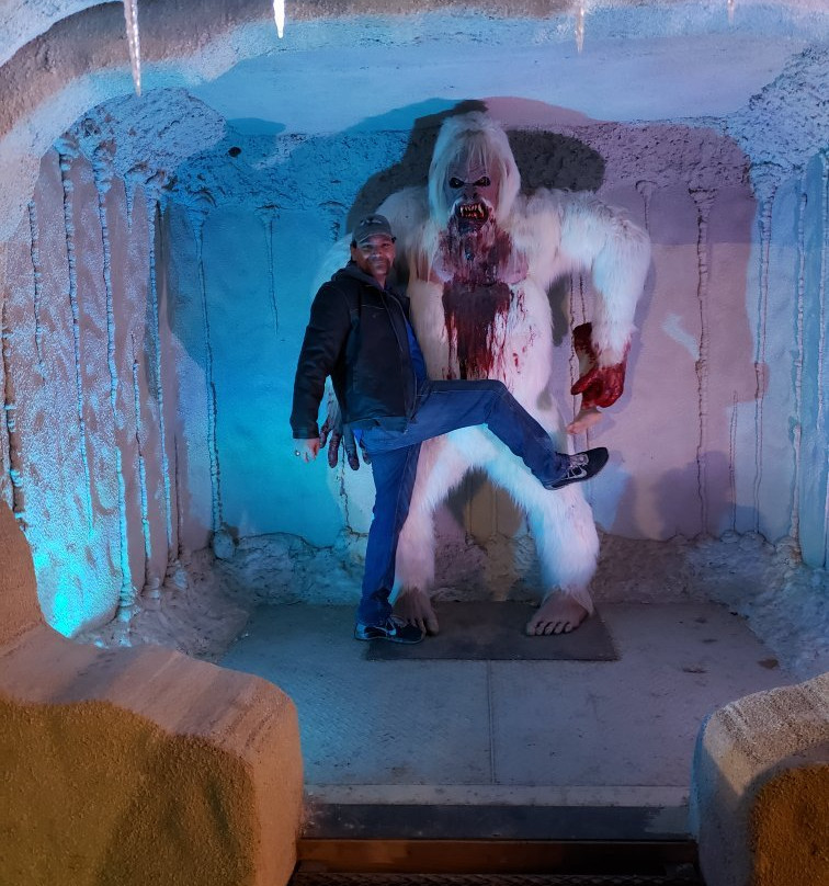 McCall's Pumpkin Patch-Moriarty必去景点