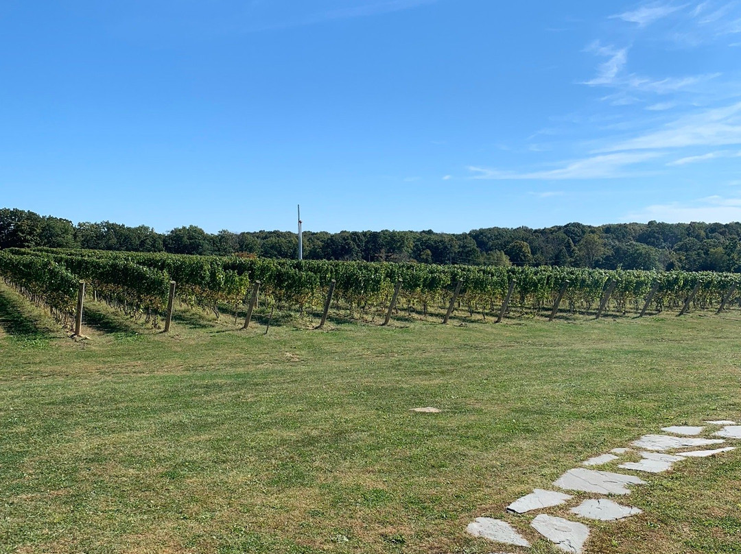 Laurentia Vineyard and Winery景点图片