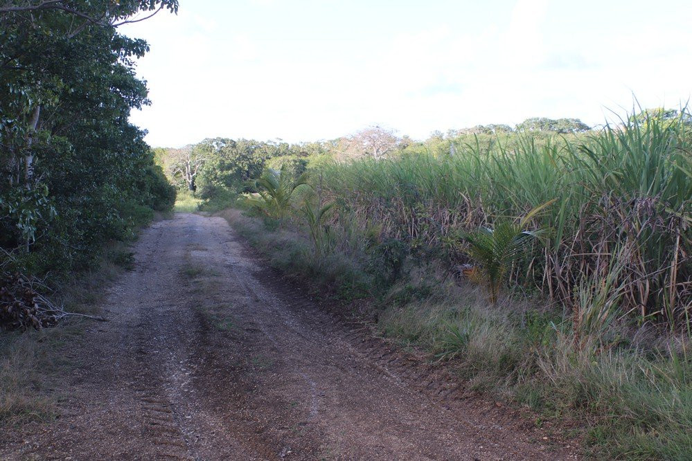 Le sentier de Deville-Maisoncelle-Petit-Canal必去景点