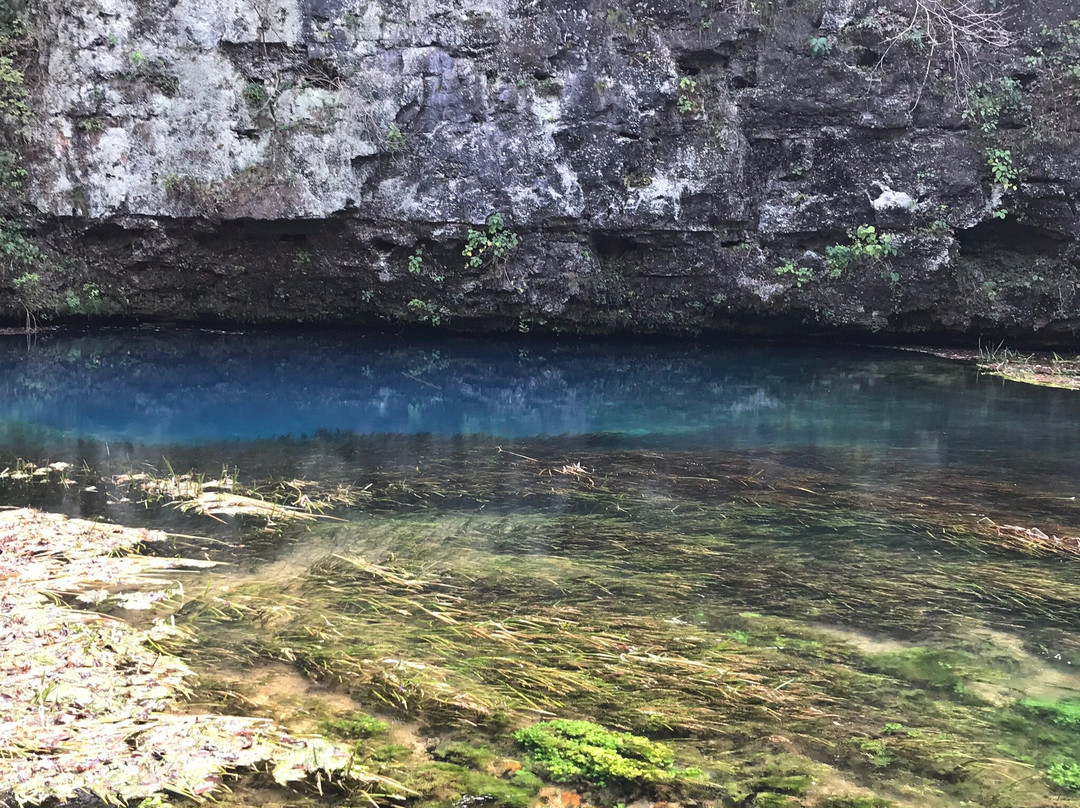 Hawkins House B & B主图