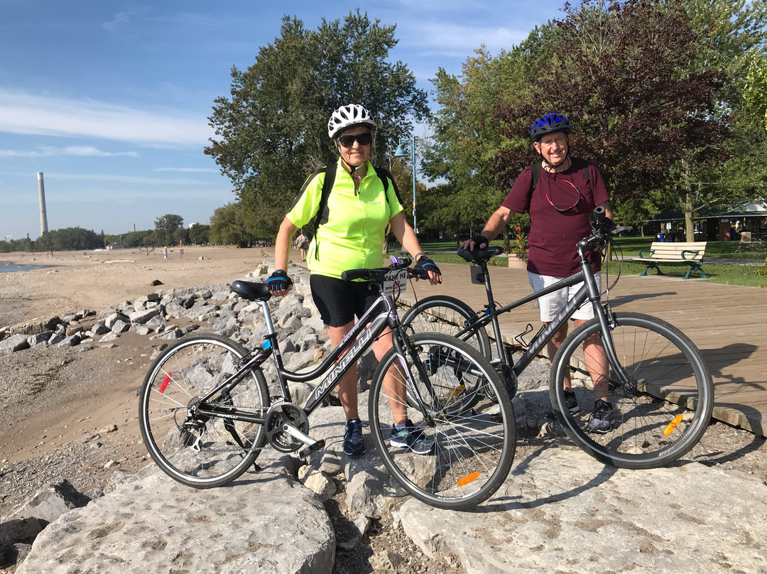 Wheel Excitement Inc-多伦多必去景点