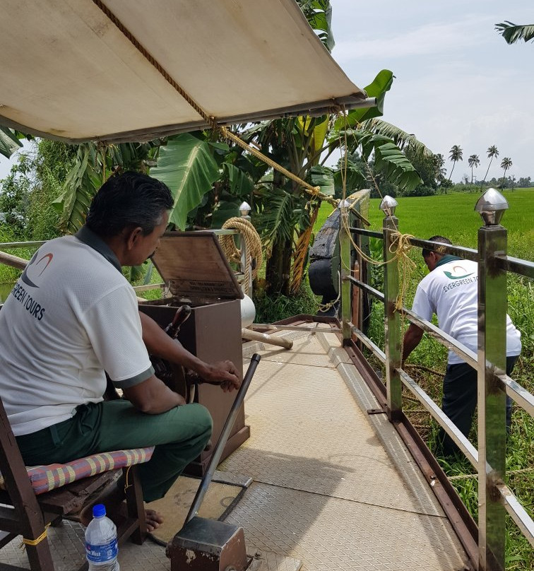 Alleppey Backwater Tours景点图片