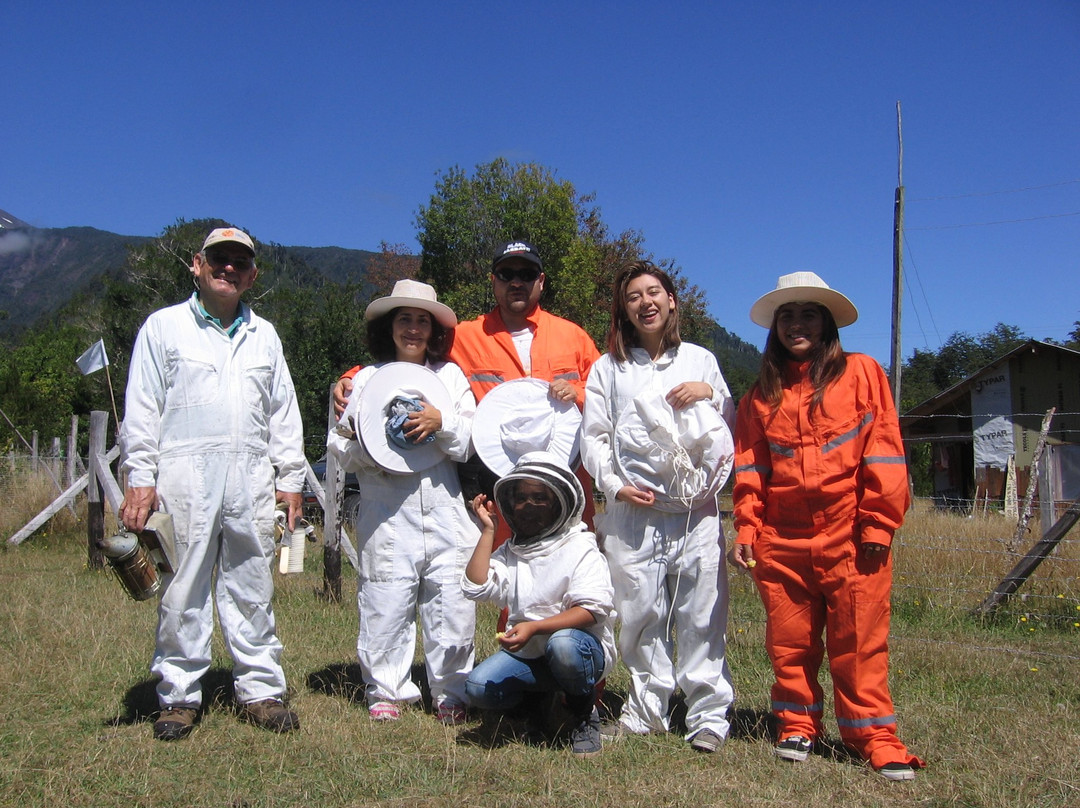 Contao旅游景点-Raymapu Mieles De La Patagonia