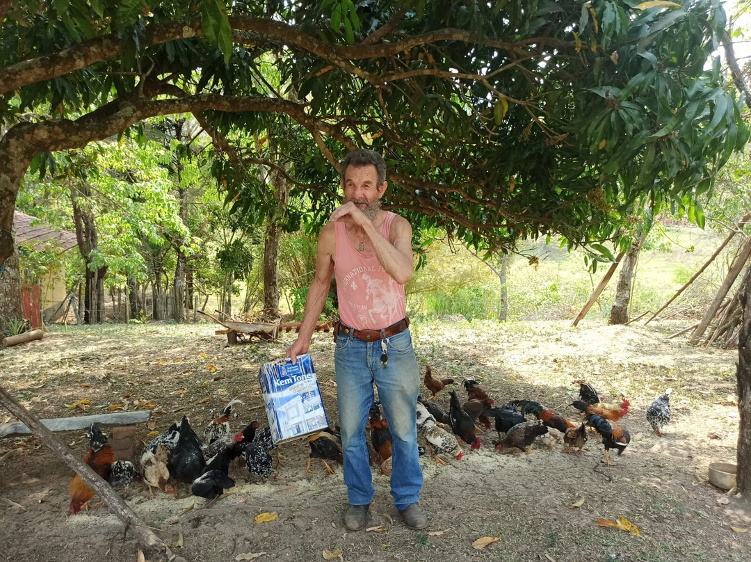 Museu Do Carro De Boi Quim Costa