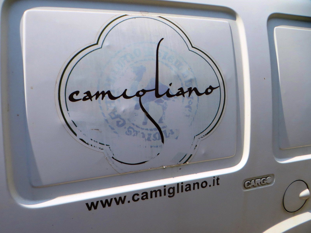 Camigliano-蒙塔尔奇诺必去景点