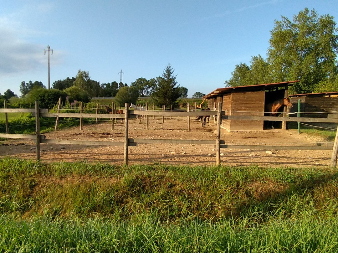 Fattoria Battilana主图