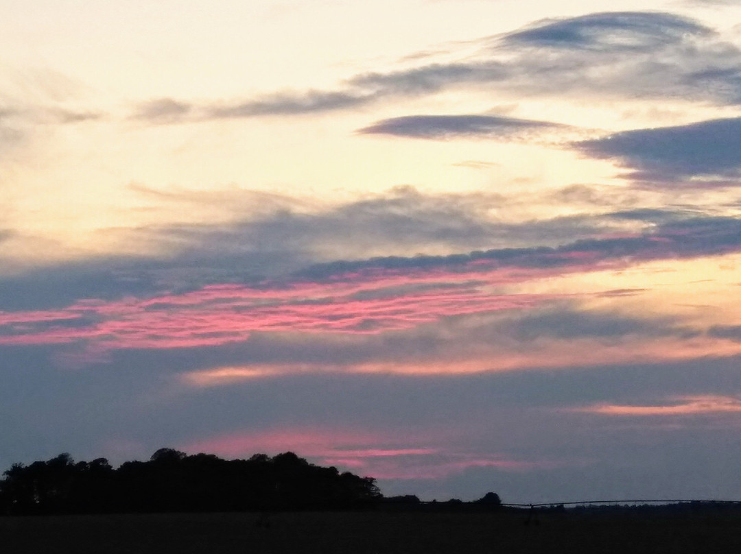 Mansion Farm Inn主图