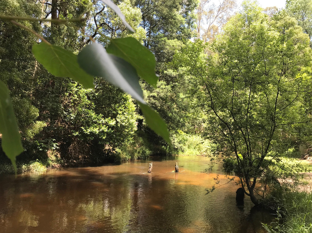 Ralph Cornwall Loch Valley Tramway Walk
