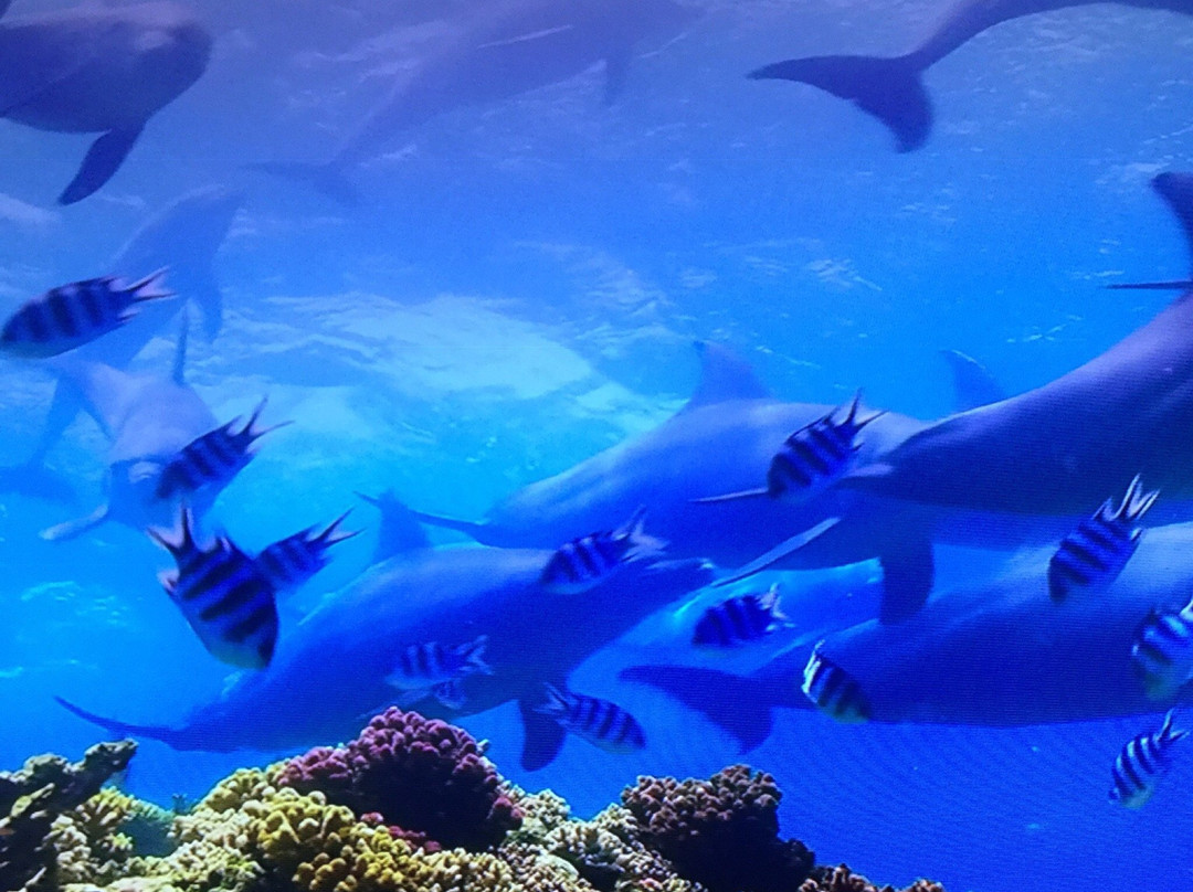 Cypress Bend Park-新布朗费尔斯必去景点