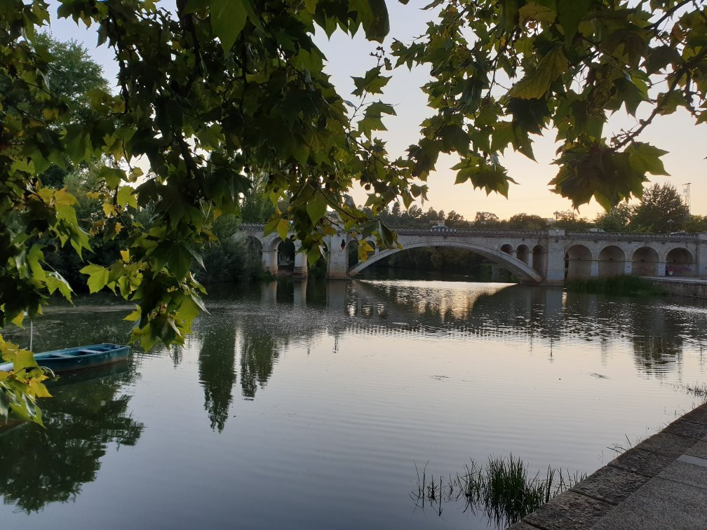 Jardim Público de Chaves景点图片