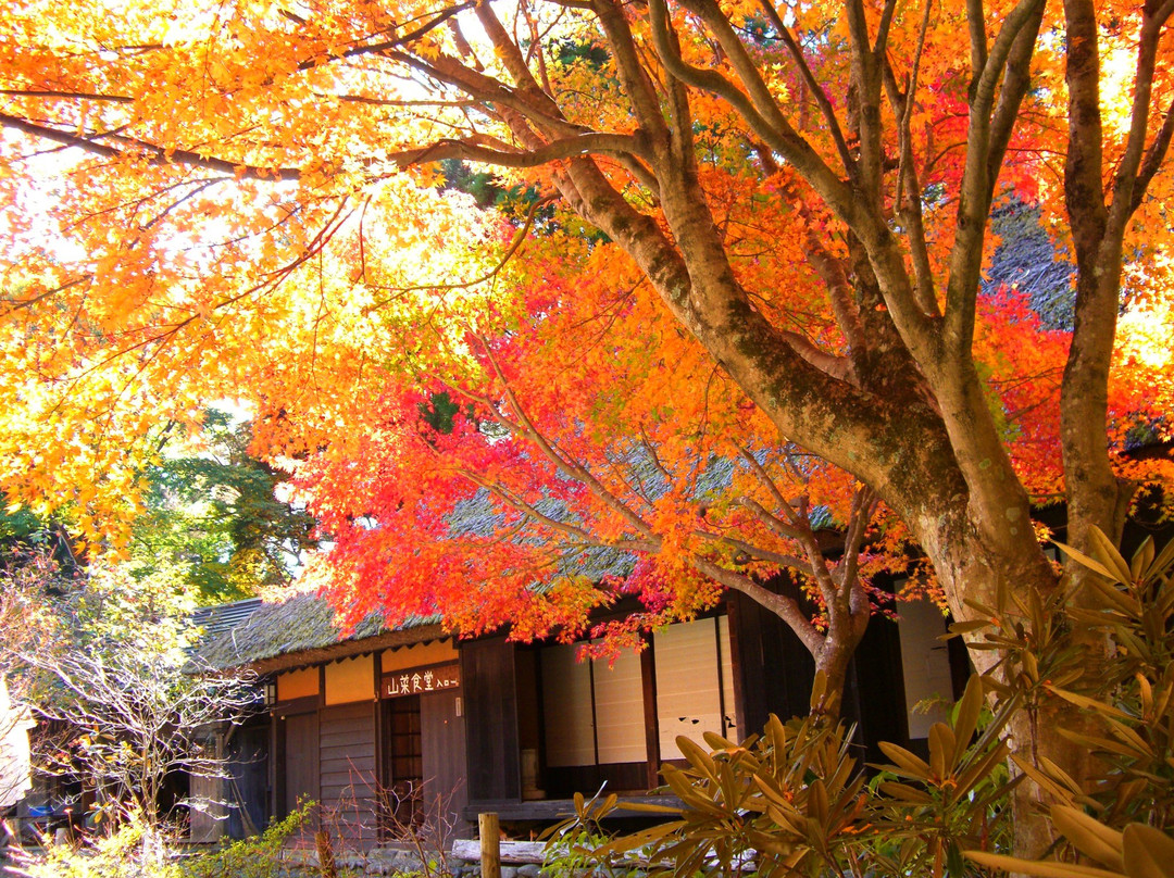 Gokanosho Heike no Ie-八代市必去景点