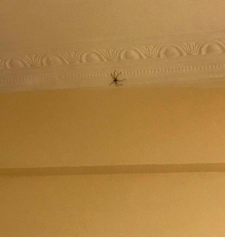 Shivalik Hotel And Resorts主图