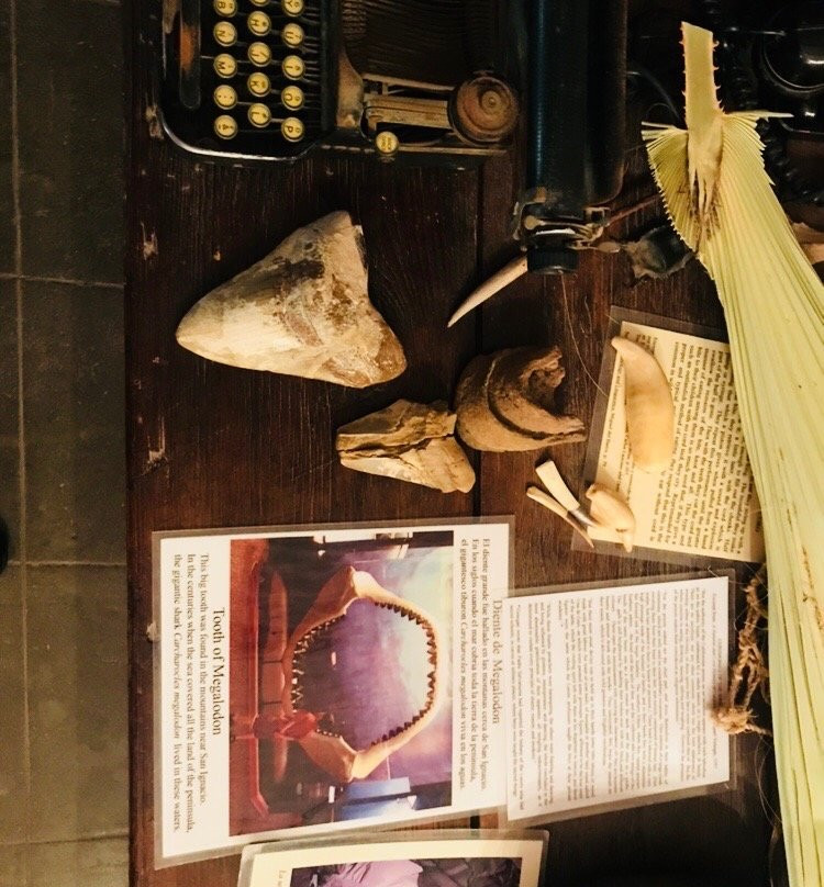 Casa Leree-San Ignacio必去景点