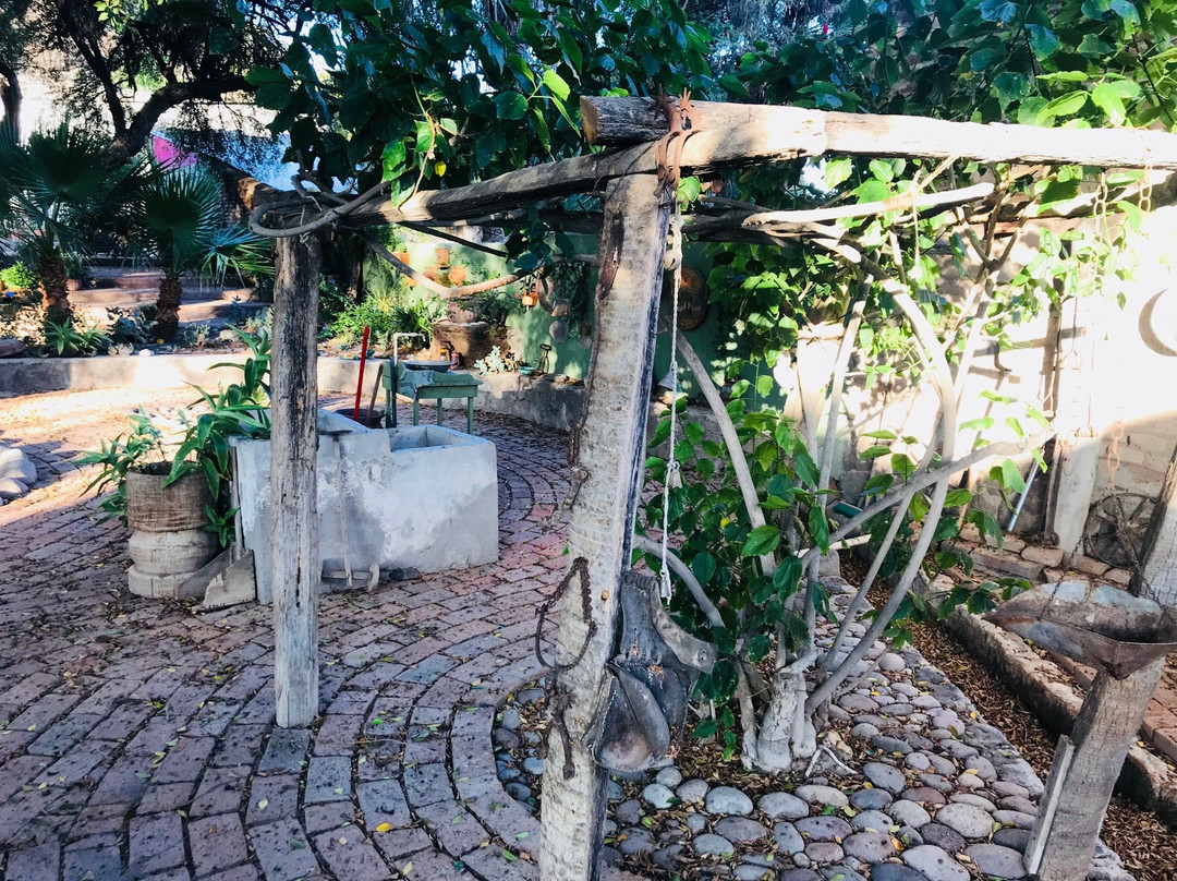 Casa Leree-San Ignacio必去景点