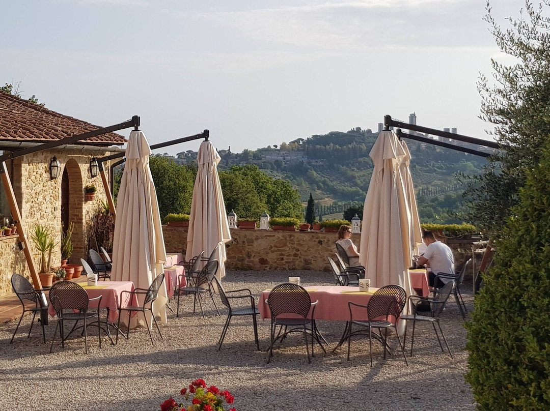 Podere Sant'Elena主图