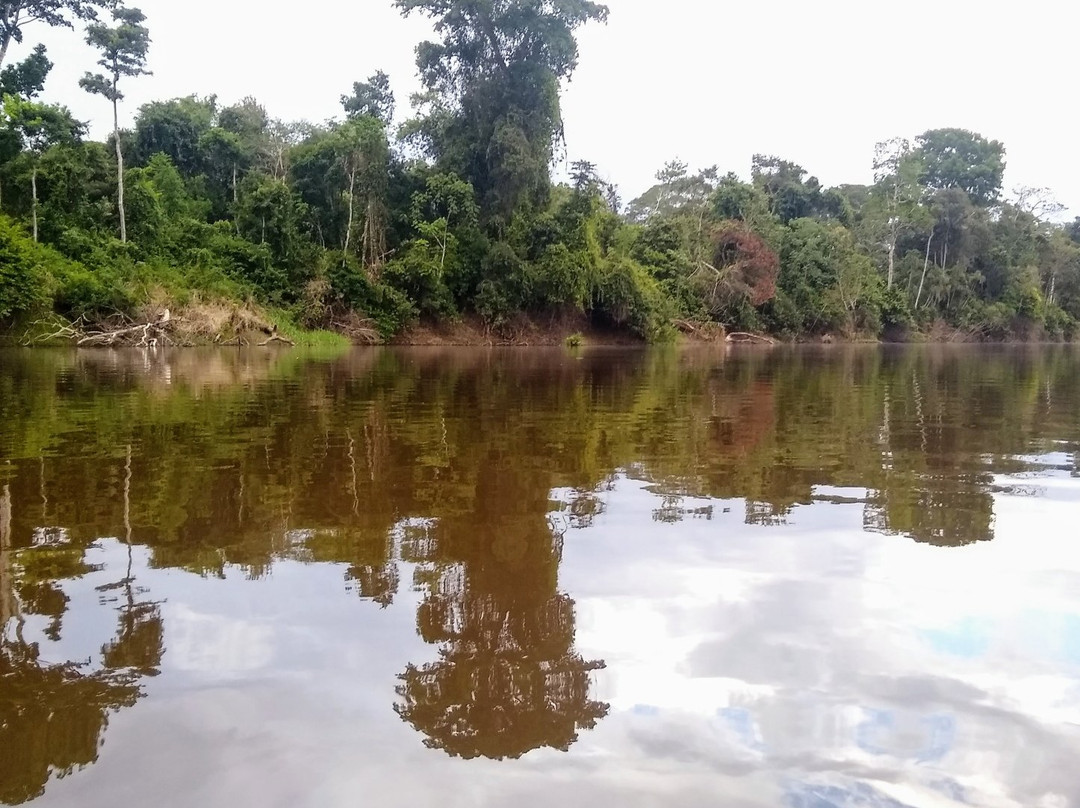 Pacaya Samiria National Reserve景点图片