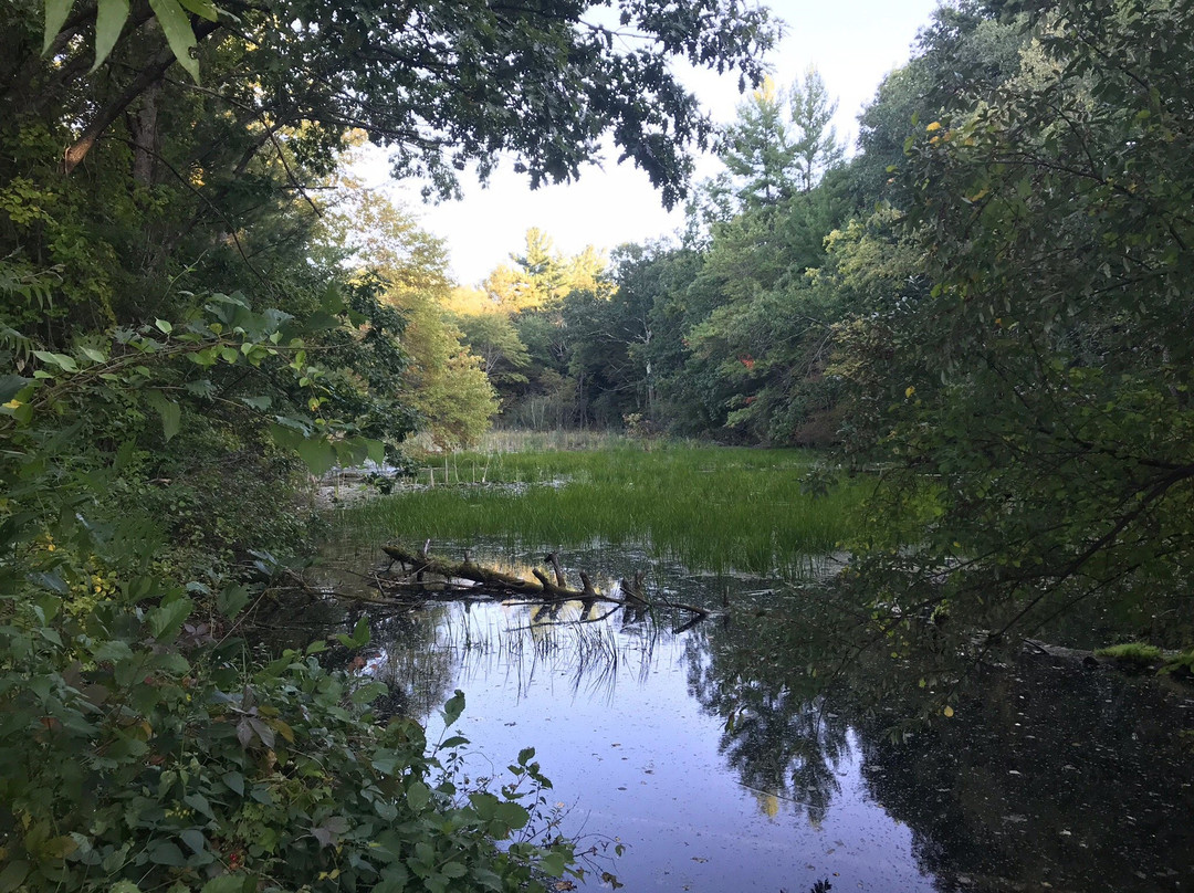 Benson Park景点图片