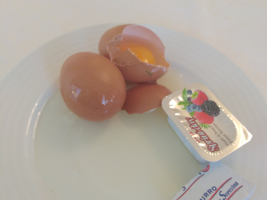 地中海宫酒店主图