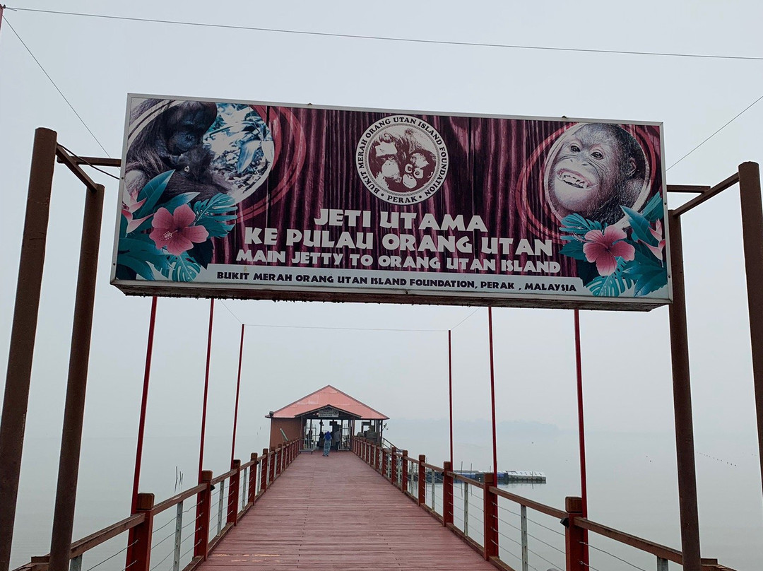 Orang Utan Island-新芒魏必去景点