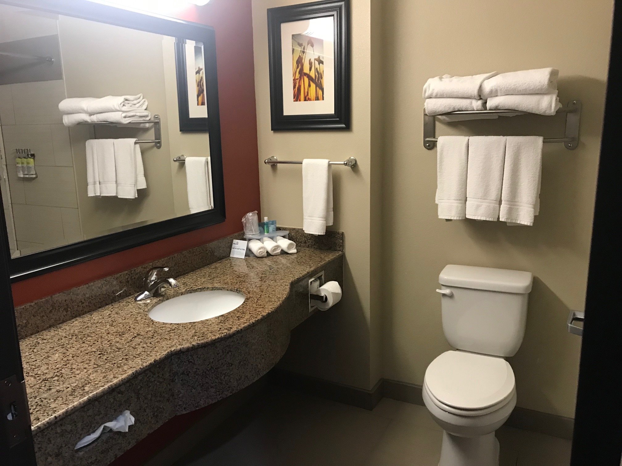 Holiday Inn Express & Suites Alva By IHG-浴室