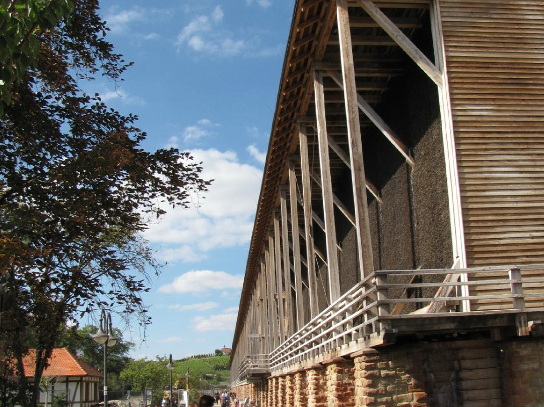 Gradierwerk Bad Durkheim (Saline)景点图片