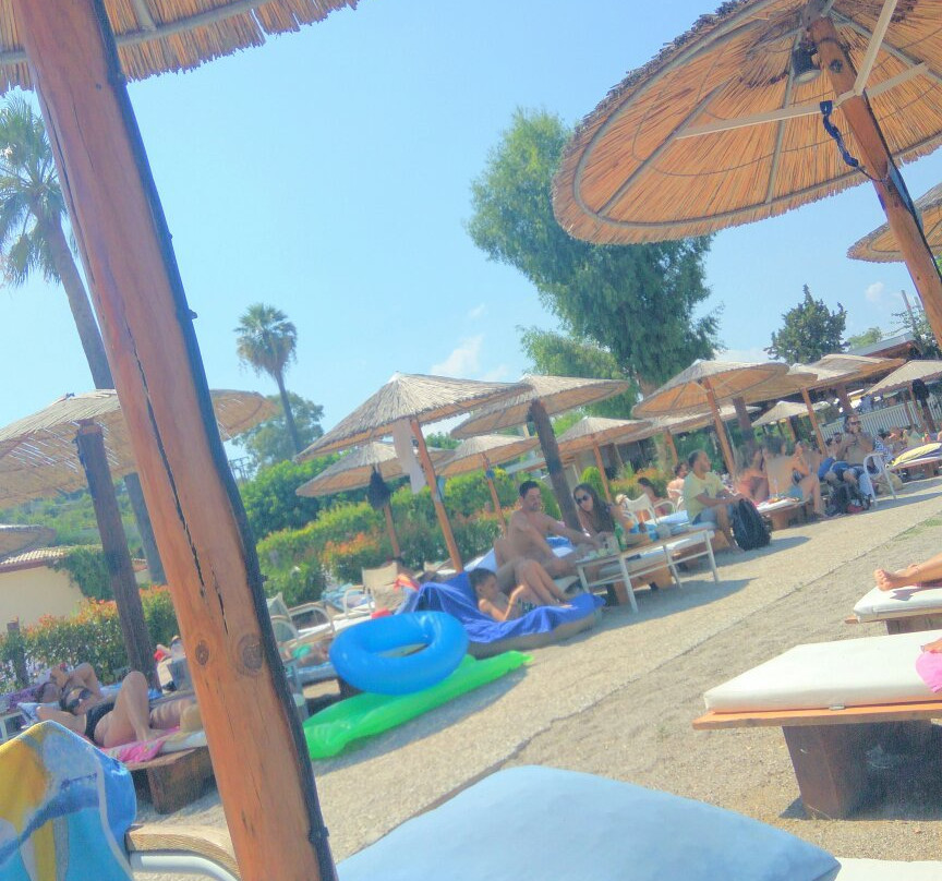 Azur Beach Bar景点图片