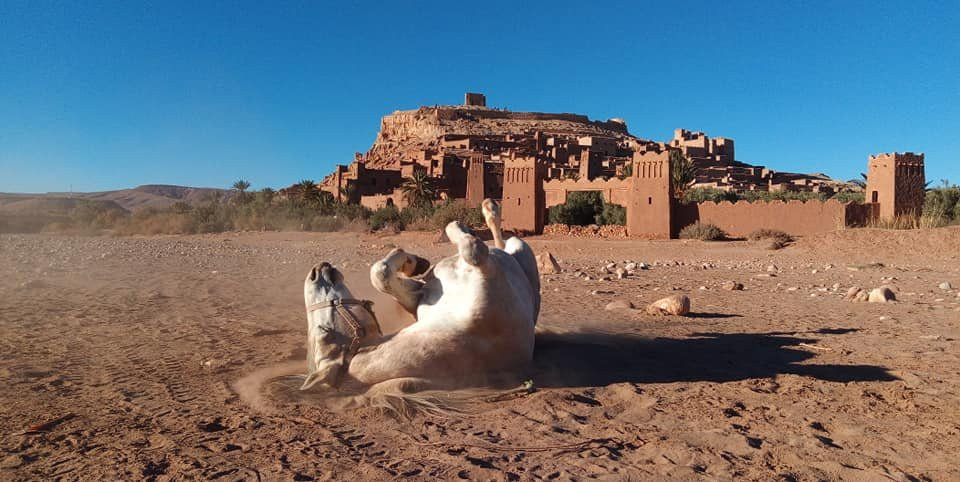 Sabot D'or - Ait Ben Haddou