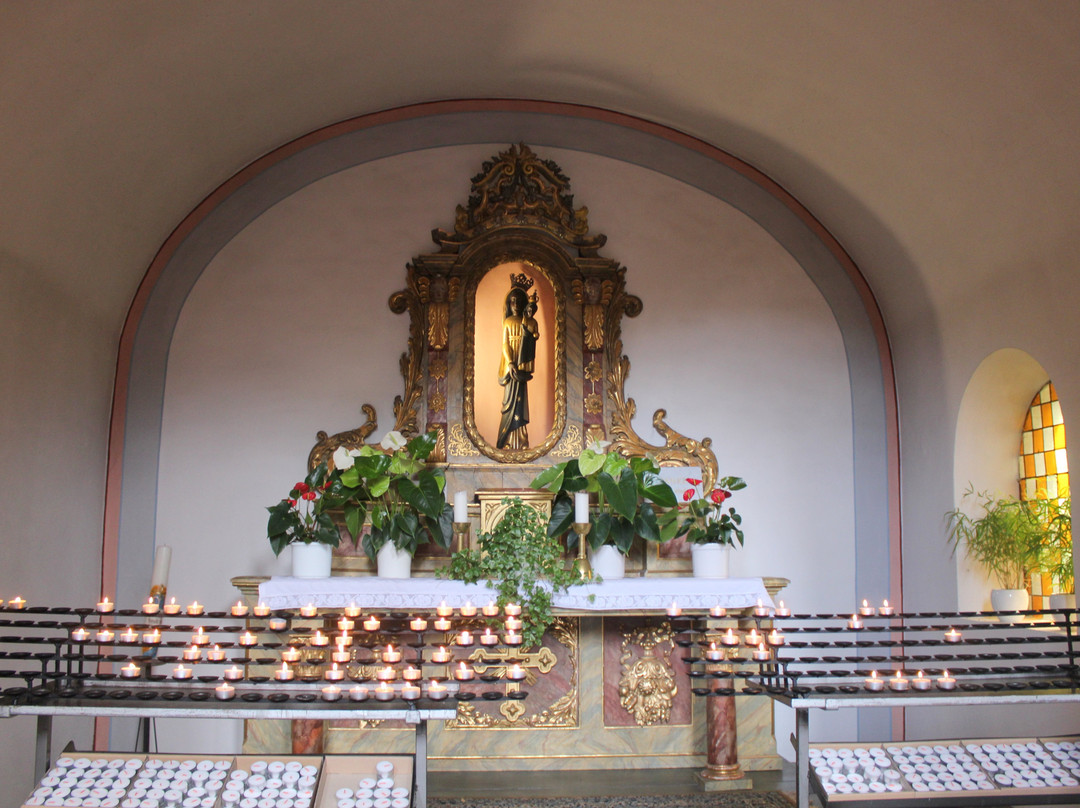 Karmeliterkirche St. Josef景点图片