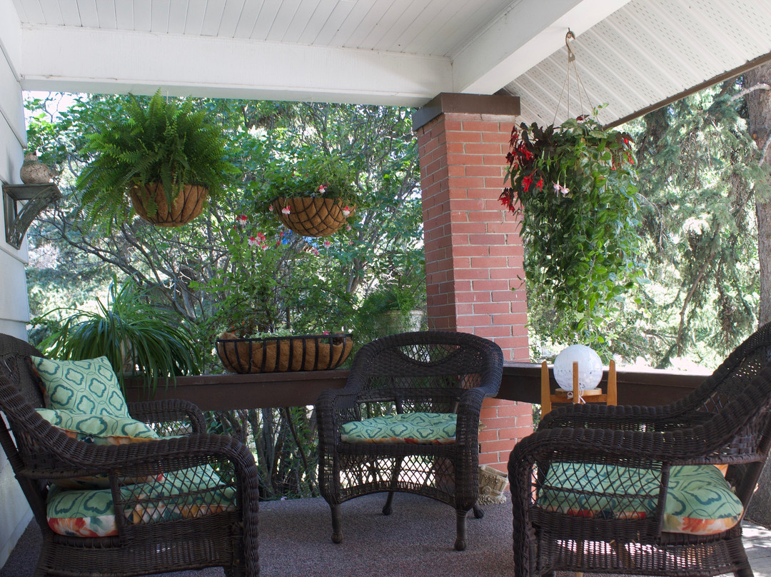 Tree House Bed and Breakfast主图