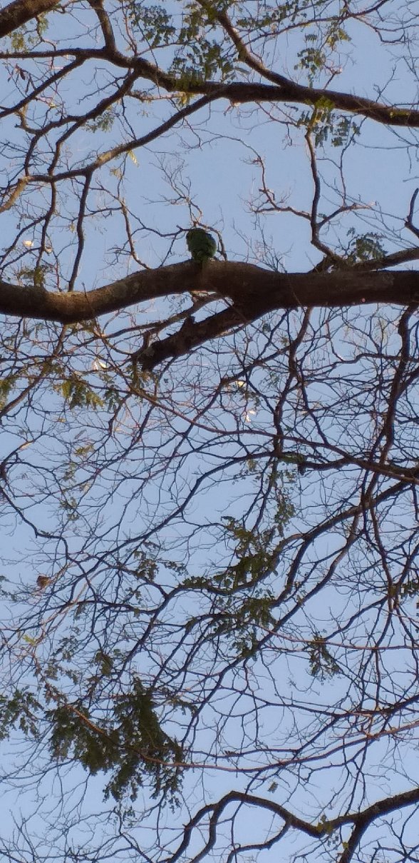 Pousada Recanto das Maritacas-官方