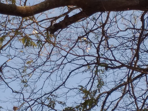 Pousada Recanto das Maritacas主图