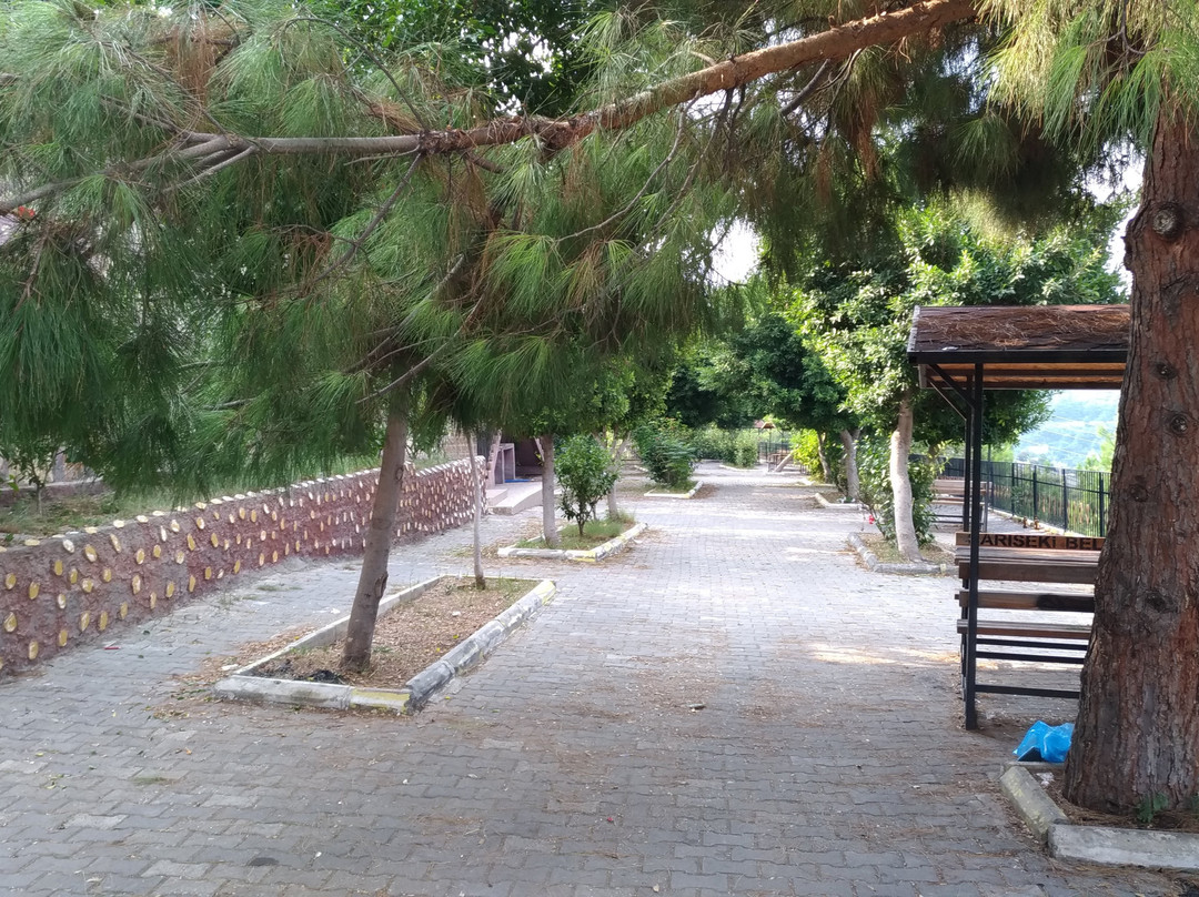 Sariseki Kanyon Park景点图片