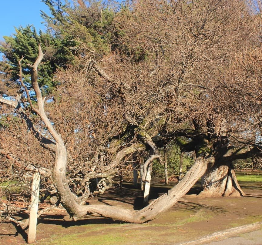 Canteras旅游攻略图片