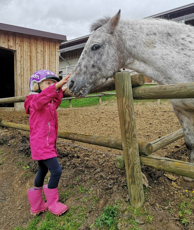 Der Ponyhof Familienhotel主图