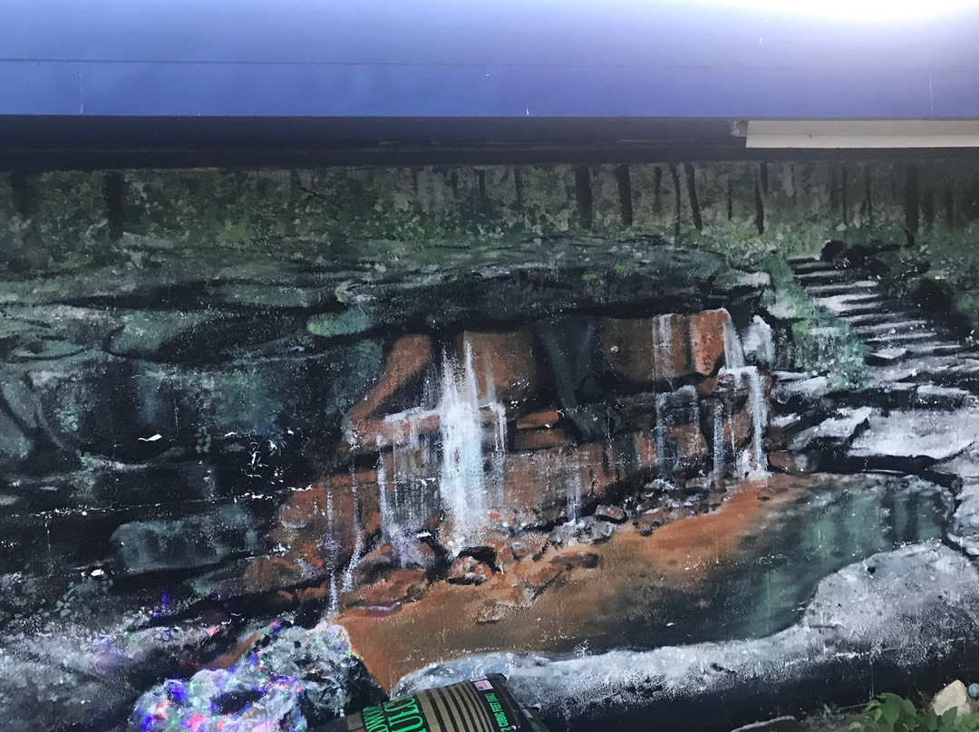 The Springs Motel主图