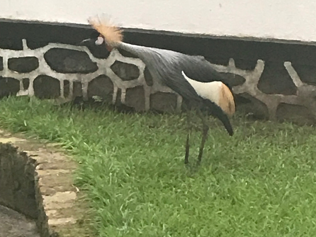 Albertine Hotel主图