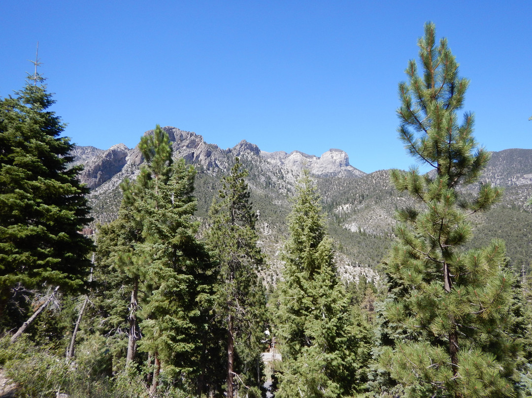 Spring Mountains National Recreational Area-Blue Diamond必去景点