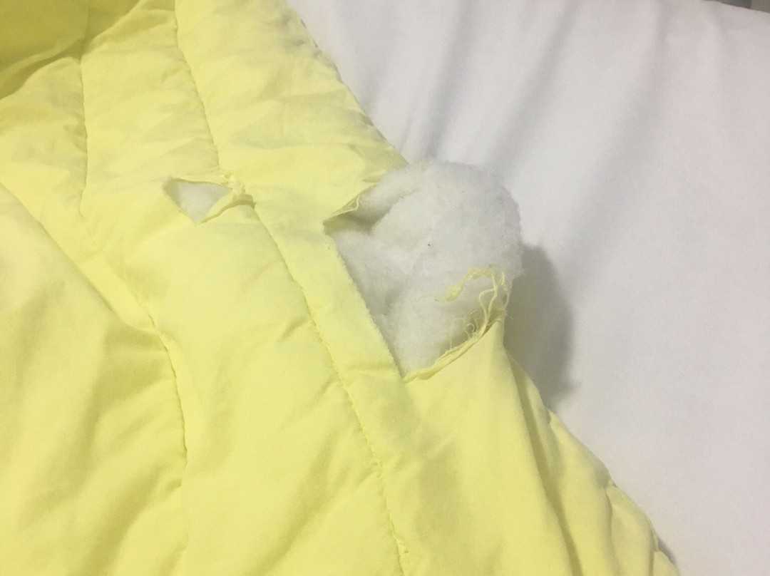 Hotel Vivendas主图