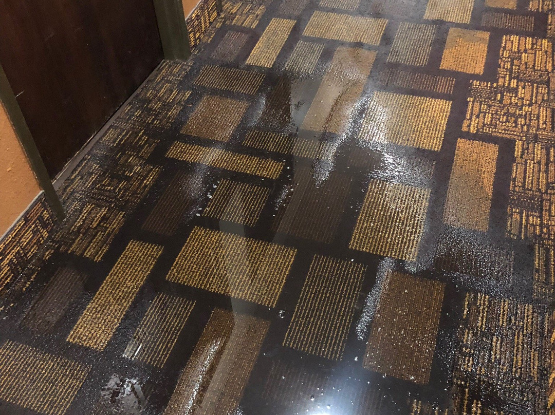 Days Inn by Wyndham Lamar主图