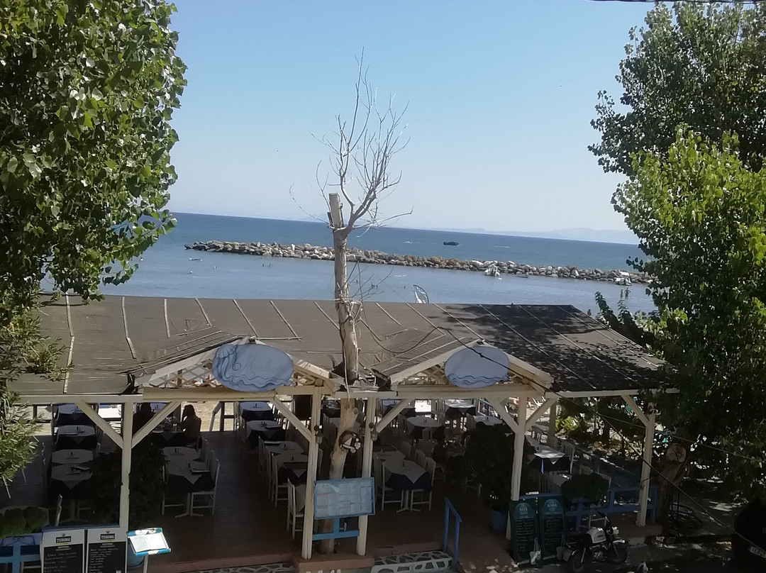 Medusa Apartments主图