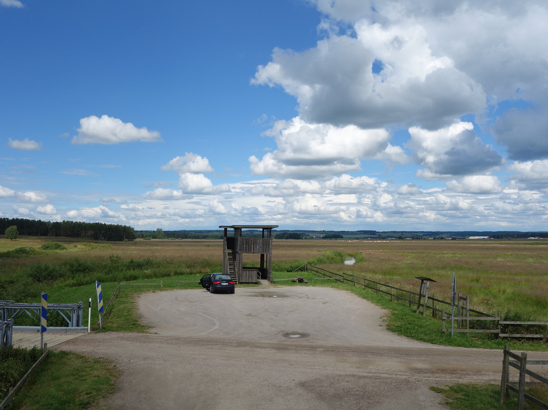 Naturreservat Klingavälsån景点图片