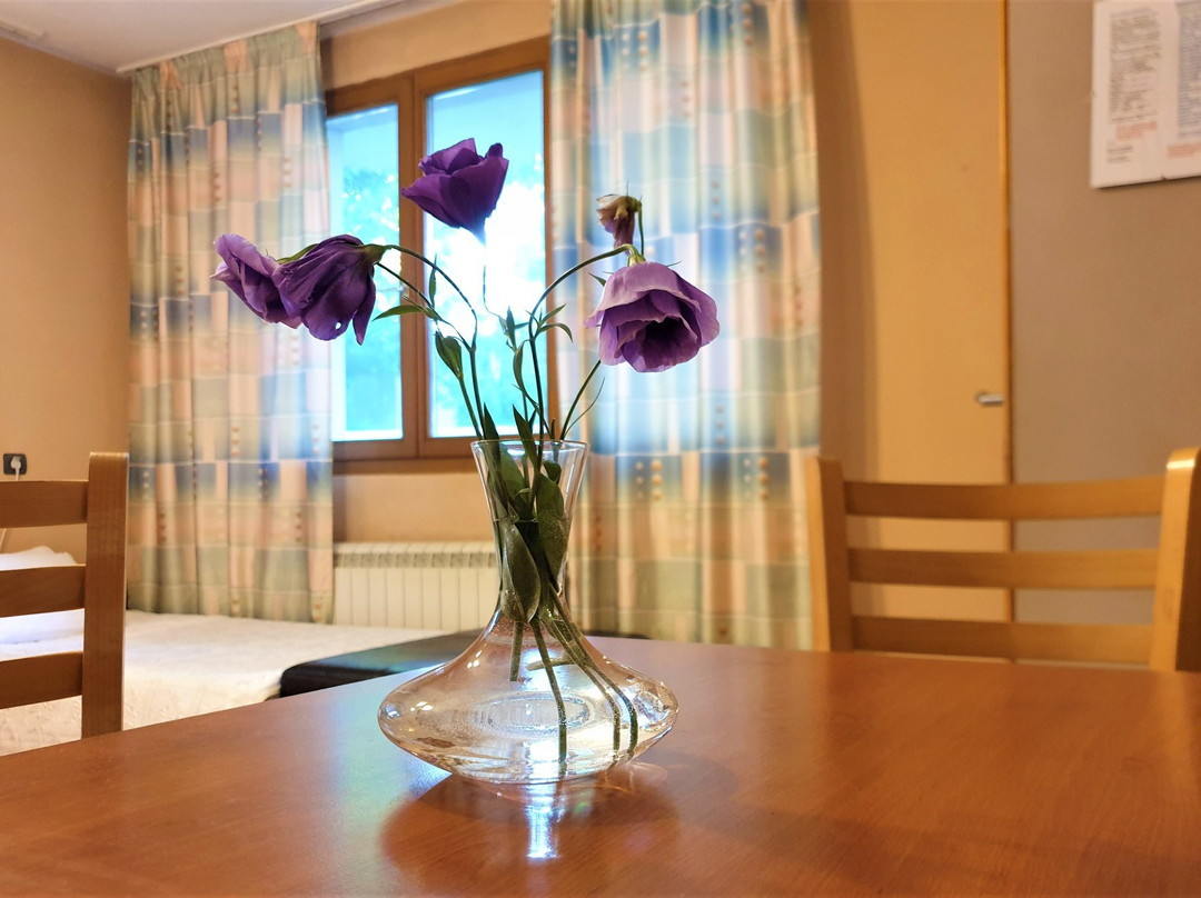 Family Hotel Sonata主图